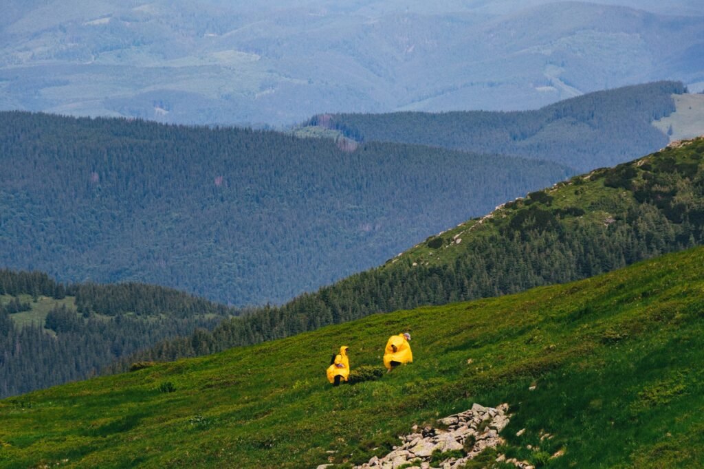 Deux randonneurs en vestes imperméables sur une montagne verdoyante