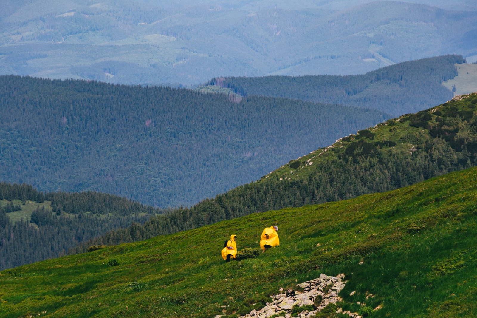Deux randonneurs en vestes imperméables sur une montagne verdoyante